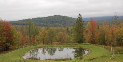 Pond and trees Sept 20 Pond and trees Sept 20