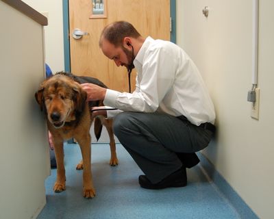 Patti with Dr Harnett Patti with Dr Harnett