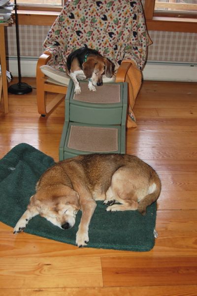 Widget blocked on ramp