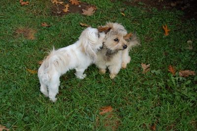 Irene with Fuzzy ear 2