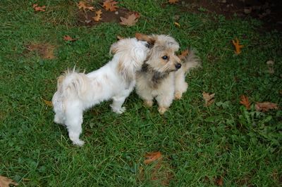 Irene with Fuzzy ear 3