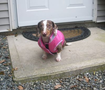 Lucy in pink coat Lucy in pink coat