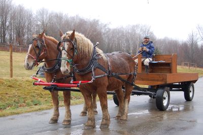 Bill and Bob on wagon with Steve