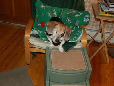 Widget waiting for lunch Widget waiting for lunch