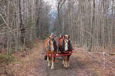 Billy Bob with S and A 2 Billy Bob with S and A 2