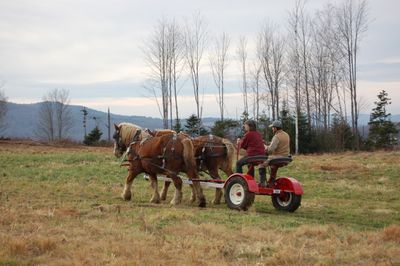 Billy Bob with S and A 3 Billy Bob with S and A 3