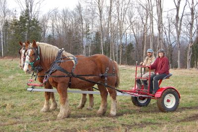Billy Bob with S and A 4 Billy Bob with S and A 4