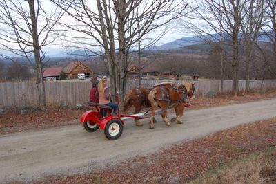 Billy Bob with Alayne driving Billy Bob with Alayne driving