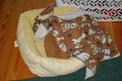 Wilbur under blanket Wilbur under blanket