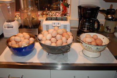 Eggs on counter Eggs on counter
