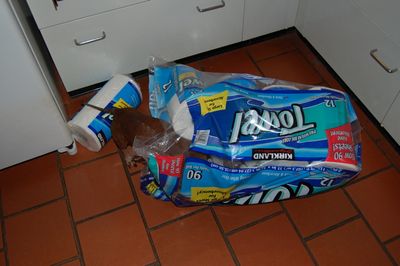 Dexter with towels 3