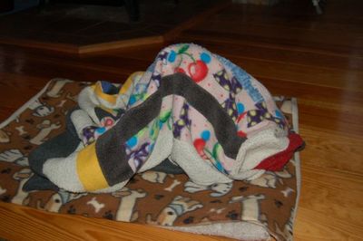 Wilbur blanket 2 Wilbur blanket 2