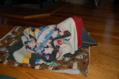 Wilbur blanket 8 Wilbur blanket 8