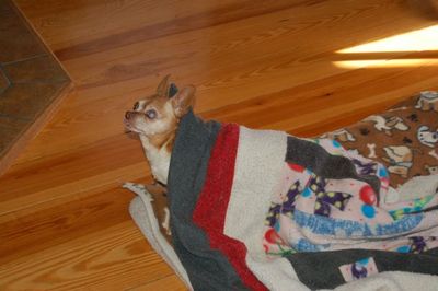 Wilbur responding to lunch Wilbur responding to lunch