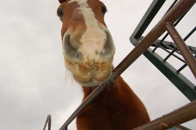 Bob looking down at camera Bob looking down at camera