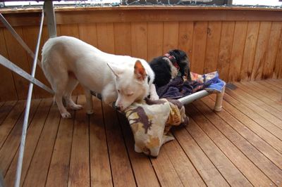 Spinner half on cot 2 Spinner half on cot 2