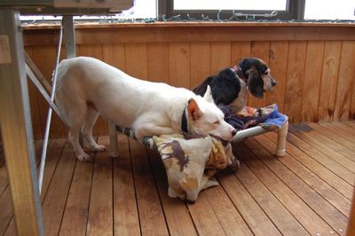 Spinner half on cot Spinner half on cot