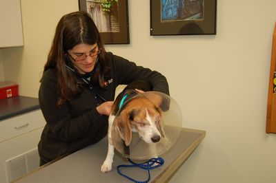 Billy with Dr Donovan 2