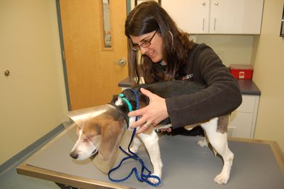 Billy with Dr Donovan 1