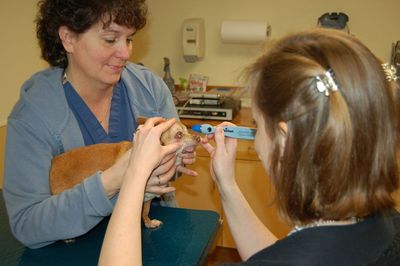 Wilbur follow up exam 2