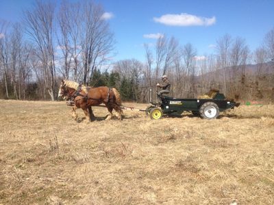 Steve spreading April 6 for blog