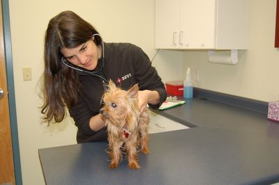 Tanya Donovan with Penny