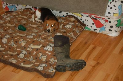 Owen with boot Owen with boot
