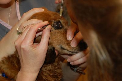 Max with clot buster 2 Max with clot buster 2