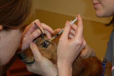 Max with clot buster Max with clot buster