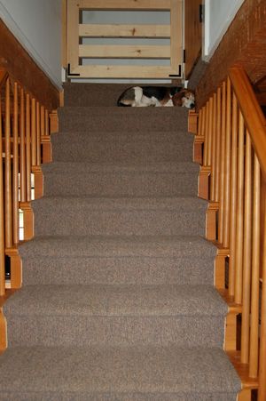 Billy at top of stairs