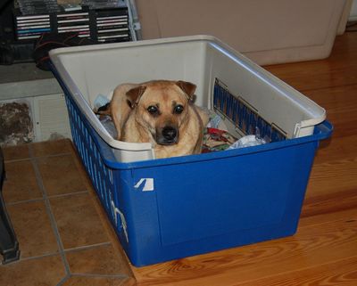 Holly in Wilbur's bed