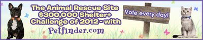 Shelter Challenge 2012 Logo