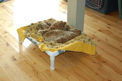 Madison bed 1 Madison bed 1