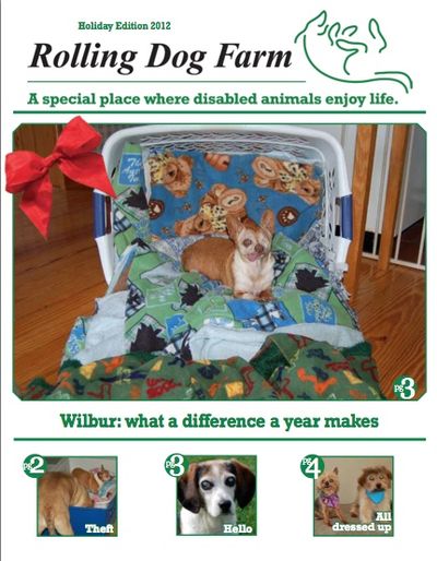 Winter 2012 Newsletter Cover