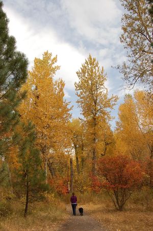 Kate and Luke 2 Kate and Luke 2