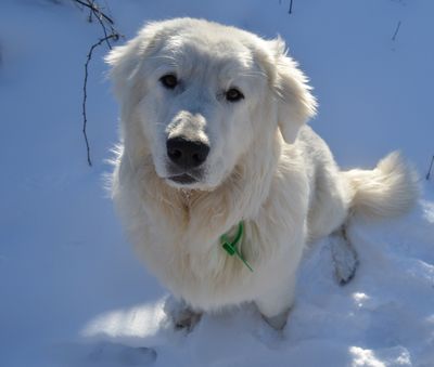 Aaron looking up at camera