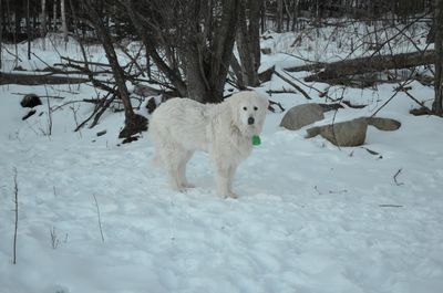 Gina standing looking at camera