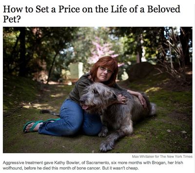 NYT on Pet Euthanasia NYT on Pet Euthanasia