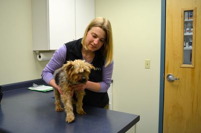 Bentley with Josie Bentley with Josie