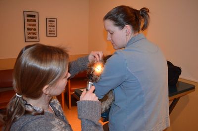 Bentley PLR test Bentley PLR test