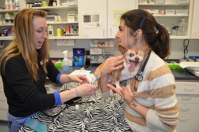 Wilbur blood pressure recheck