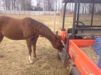 Cash checking out RTV