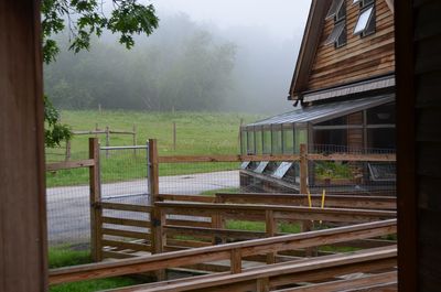 Fog June 26 solarium view Fog June 26 solarium view