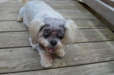 Zach after surgery Zach after surgery