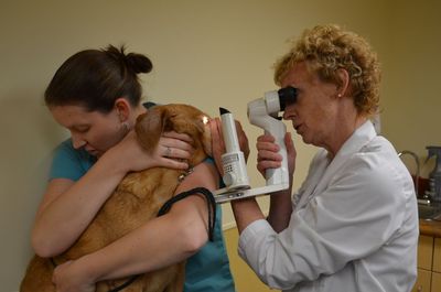 Darla with Dr Jamieson Darla with Dr Jamieson