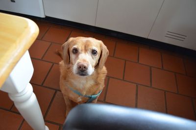 Darla at lunch table Darla at lunch table