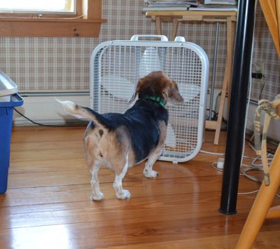 Widget in front of fan Widget in front of fan