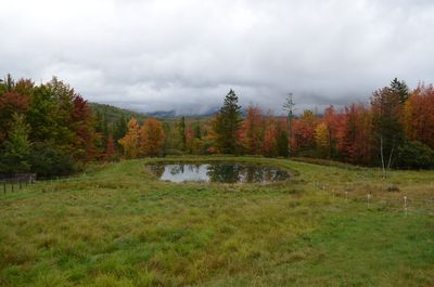 Fall colors at pond