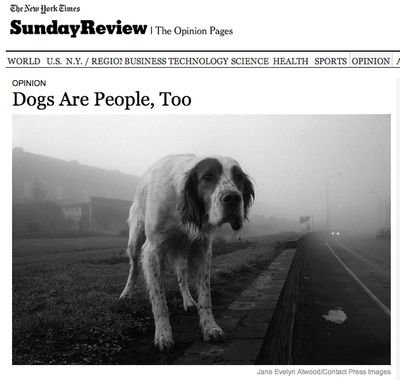 Dogs are people too screenshot