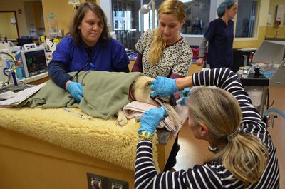 Travis with Marielle and techs